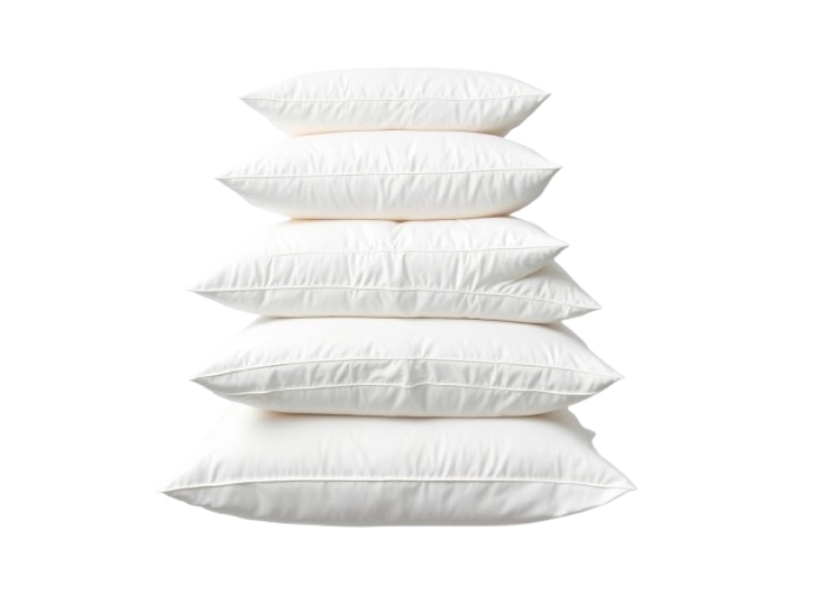 website images 222 (7)